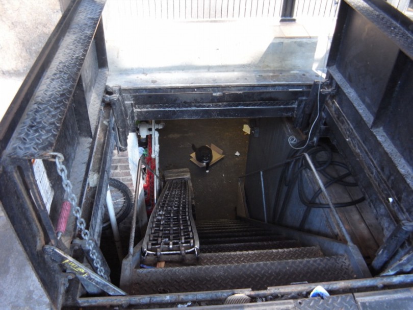 natural_history_newyork (3)