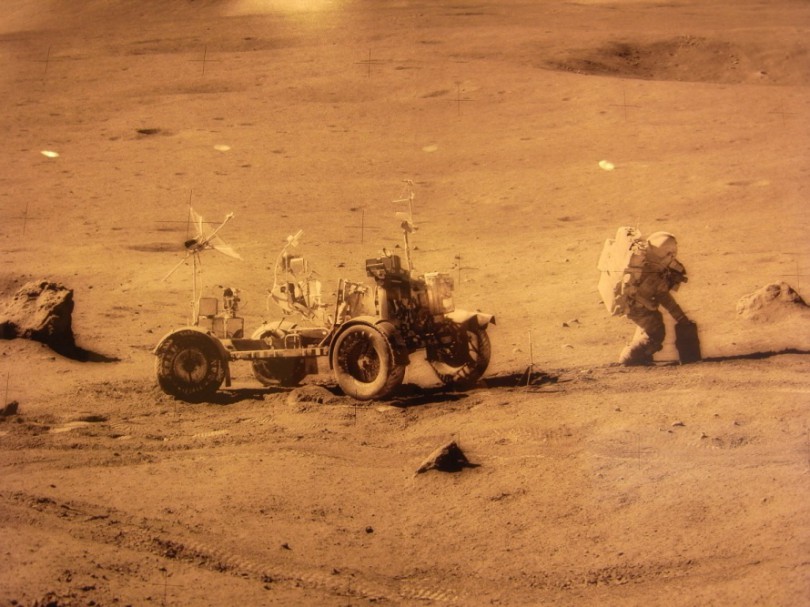 natural_history_newyork (7)