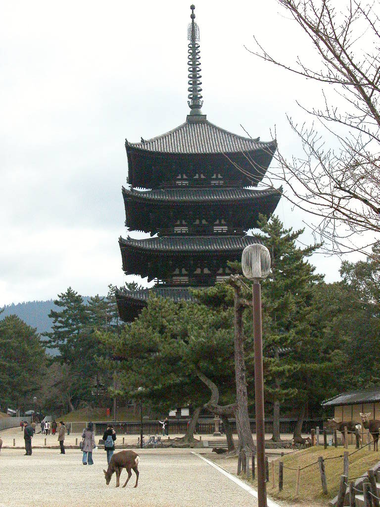 070114_nara (6)