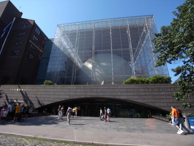 natural_history_newyork (4)