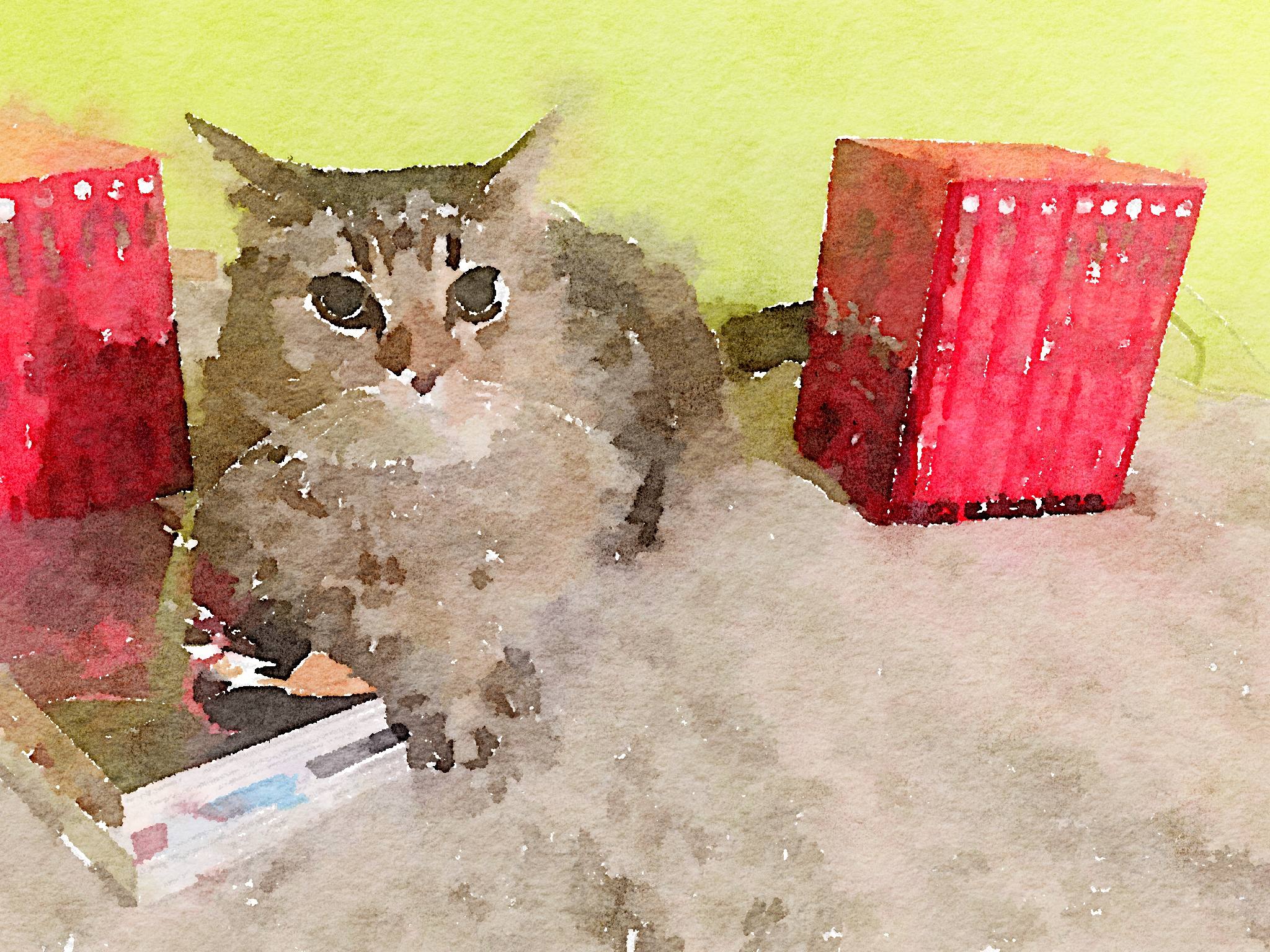 edit_waterlogue (23)